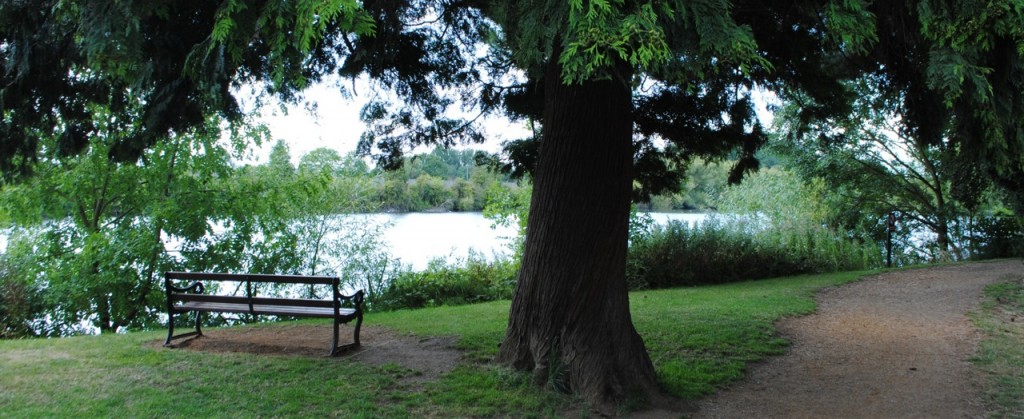 Conversations on a Bench